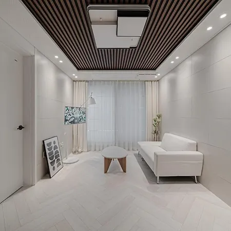 203 Bangbae Gangnam Furnished Premium Villa